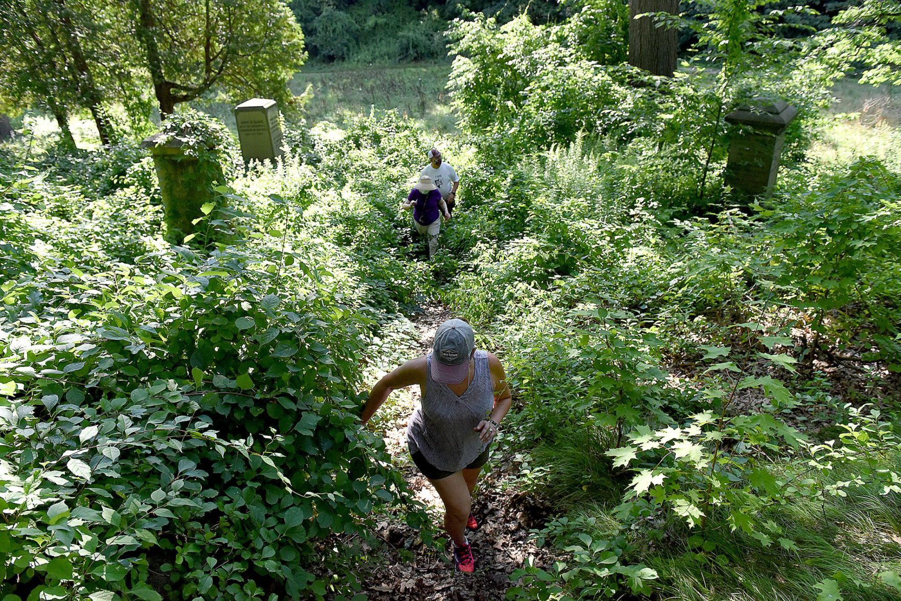 Bushwhacking through cemetery